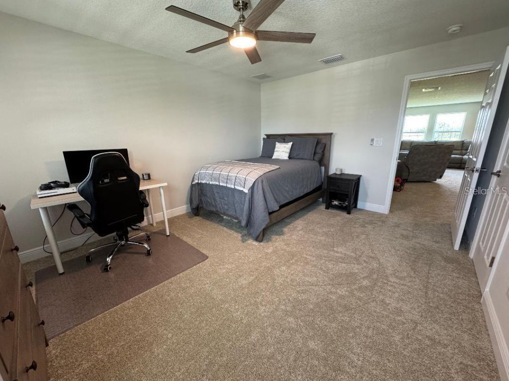 13150 Wellspring Drive, Lithia, FL 33547 Photo