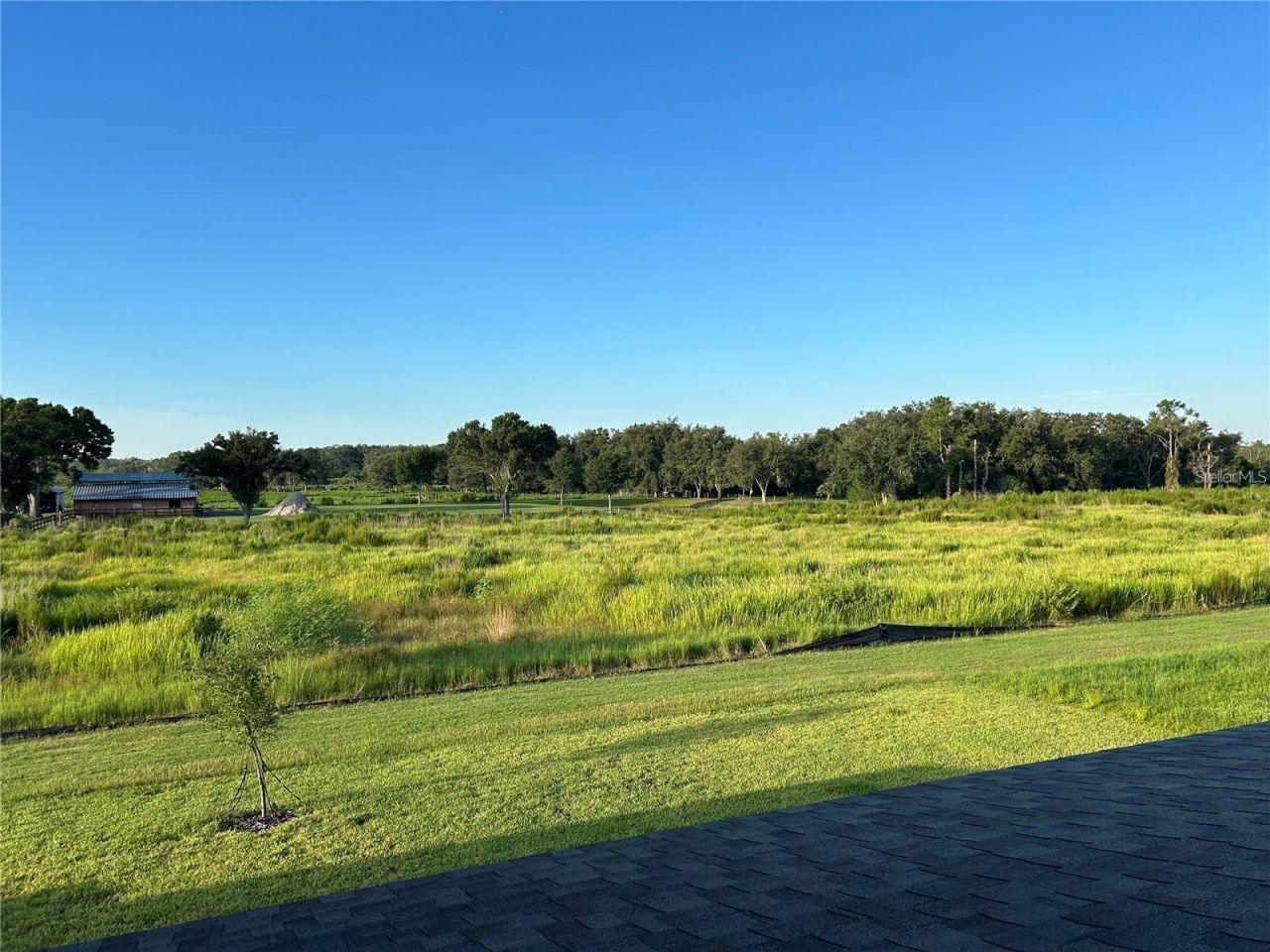 13150 Wellspring Drive, Lithia, FL 33547 Photo