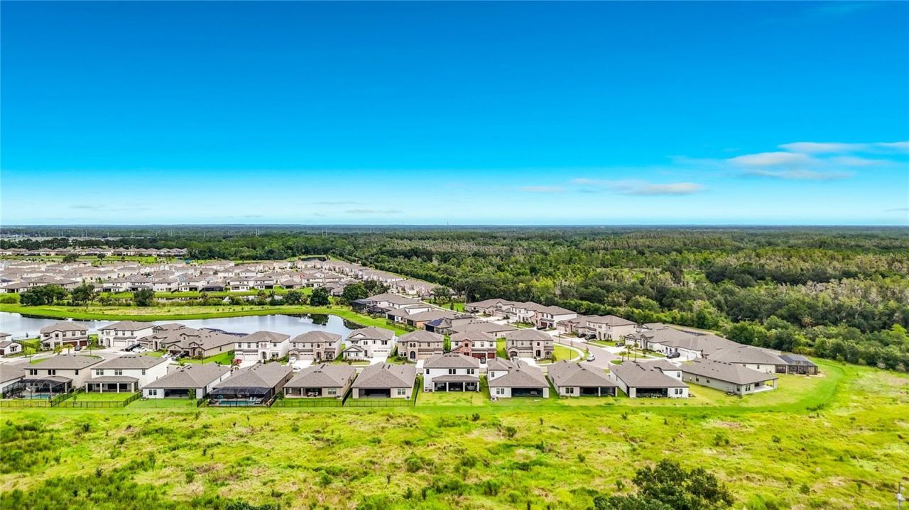 13150 Wellspring Drive, Lithia, FL 33547 Photo