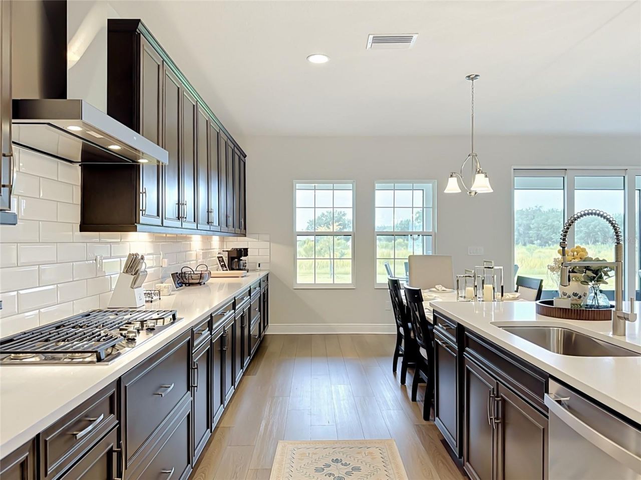 13150 Wellspring Drive, Lithia, FL 33547 Photo