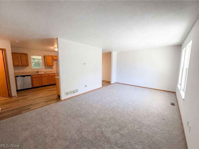 1004 Bellows Street, Akron, OH 44311 Photo 3