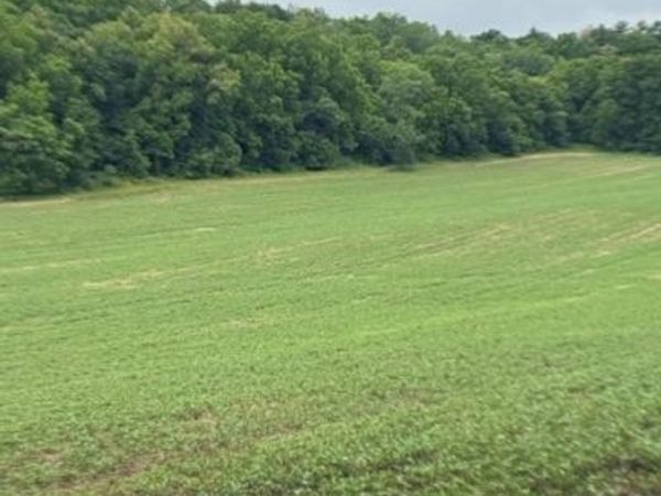 TBD Back Valley Road, Pepin, WI 54759