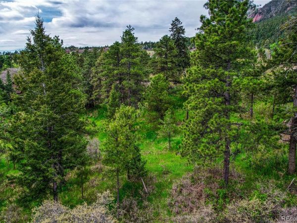 0 Buena Vista Avenue, Palmer Lake, CO 80133