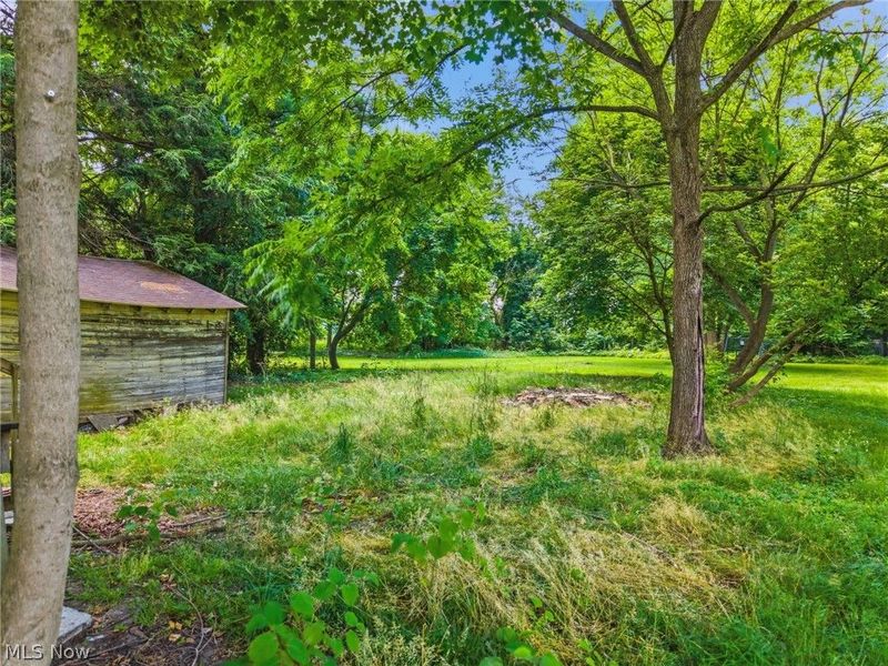 146 Albert Street NE, Warren, OH 44483 Photo 22