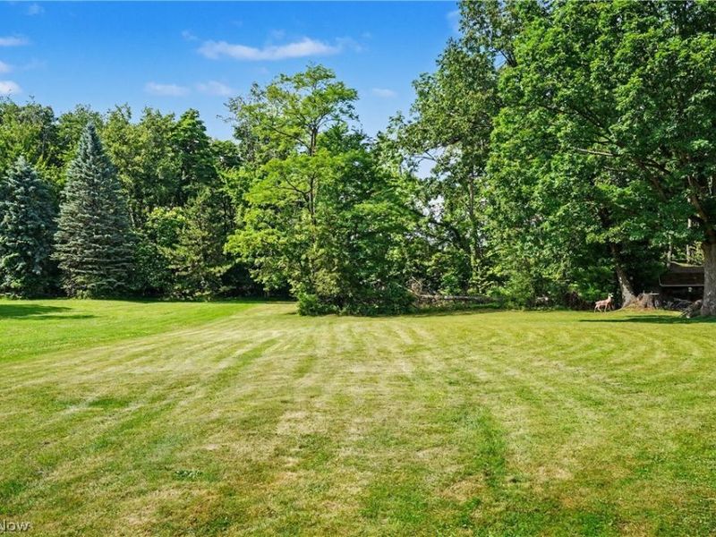 158 Van Evera Road, Tallmadge, OH 44278 Photo 46