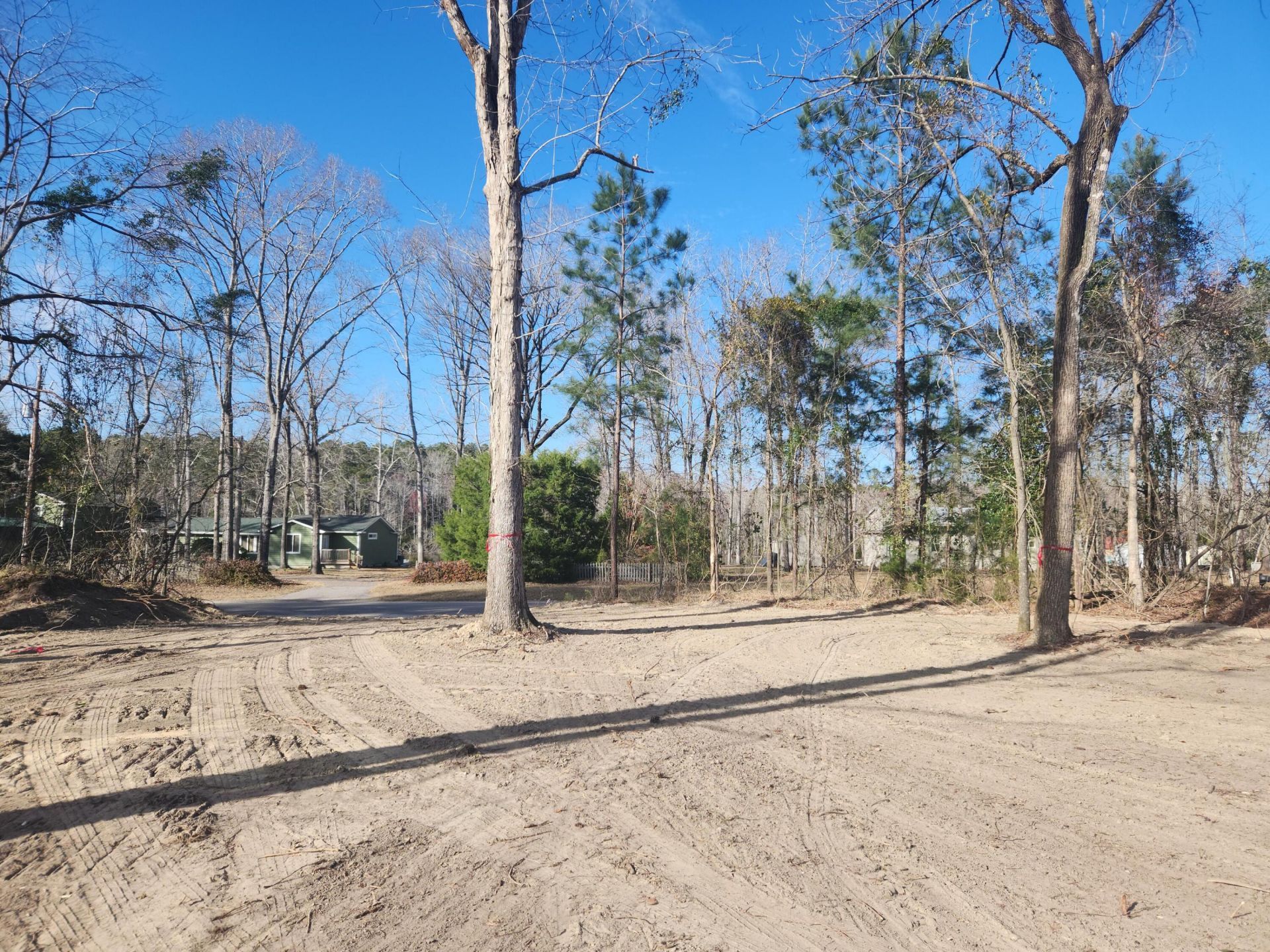 209 Ash Hill Drive Photo 4