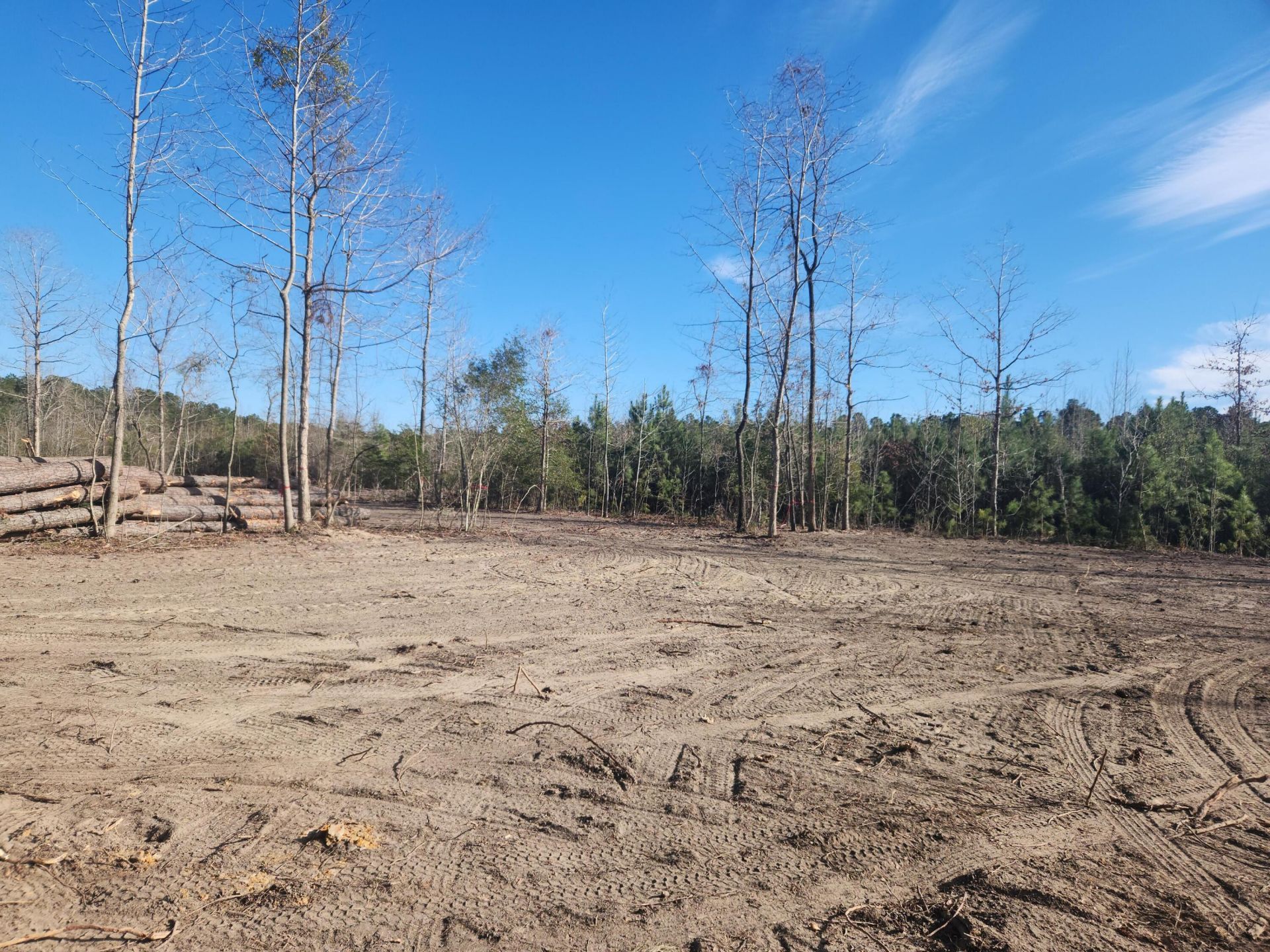 209 Ash Hill Drive Photo 5