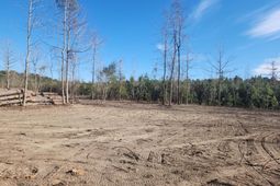 209 Ash Hill Drive photo 4