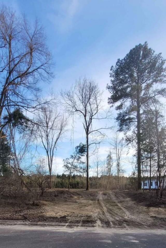 209 Ash Hill Drive Photo 6