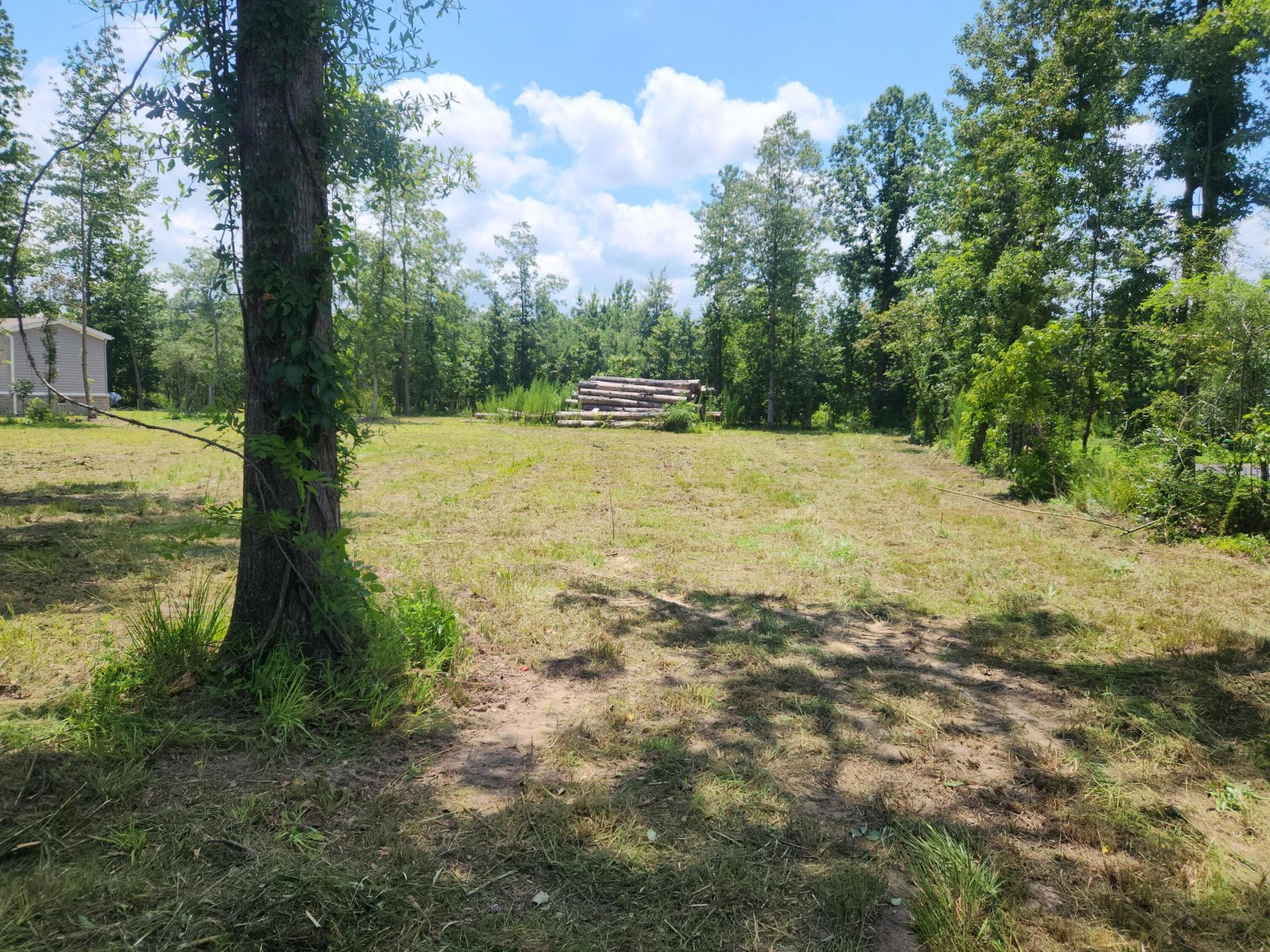 209 Ash Hill Drive Photo 7