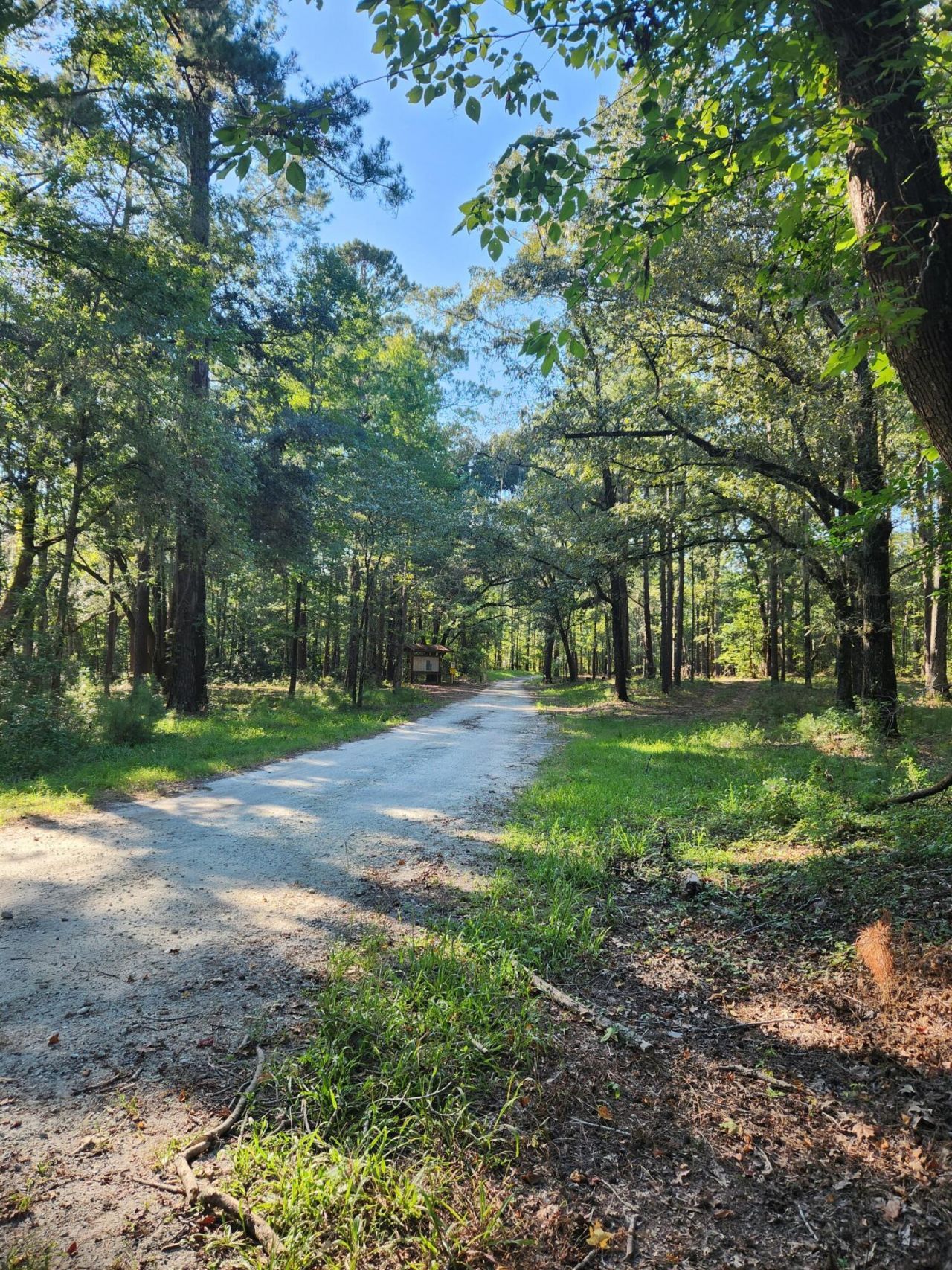 209 Ash Hill Drive Photo 9