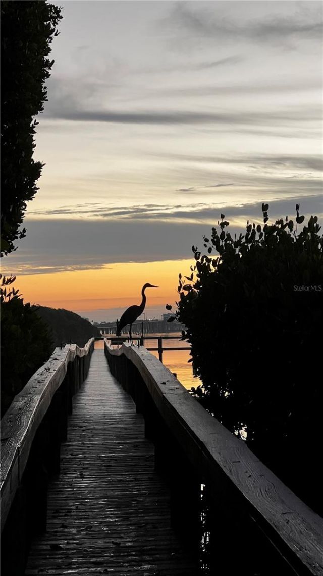 3705 E Bay Drive , Unit 103, Bradenton Beach, FL 34217 Photo