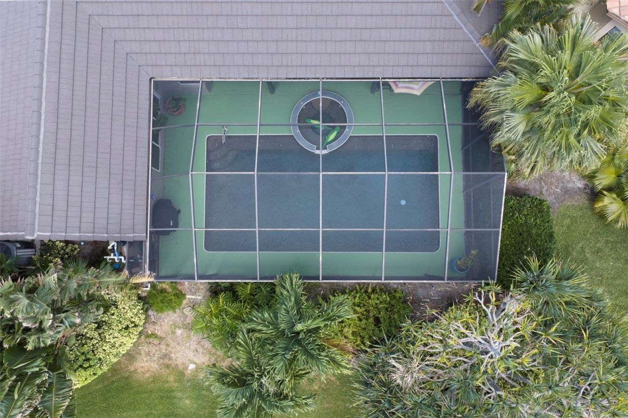 4834 Windmill Palm Terrace Ne, Saint Petersburg, FL 33703 Photo