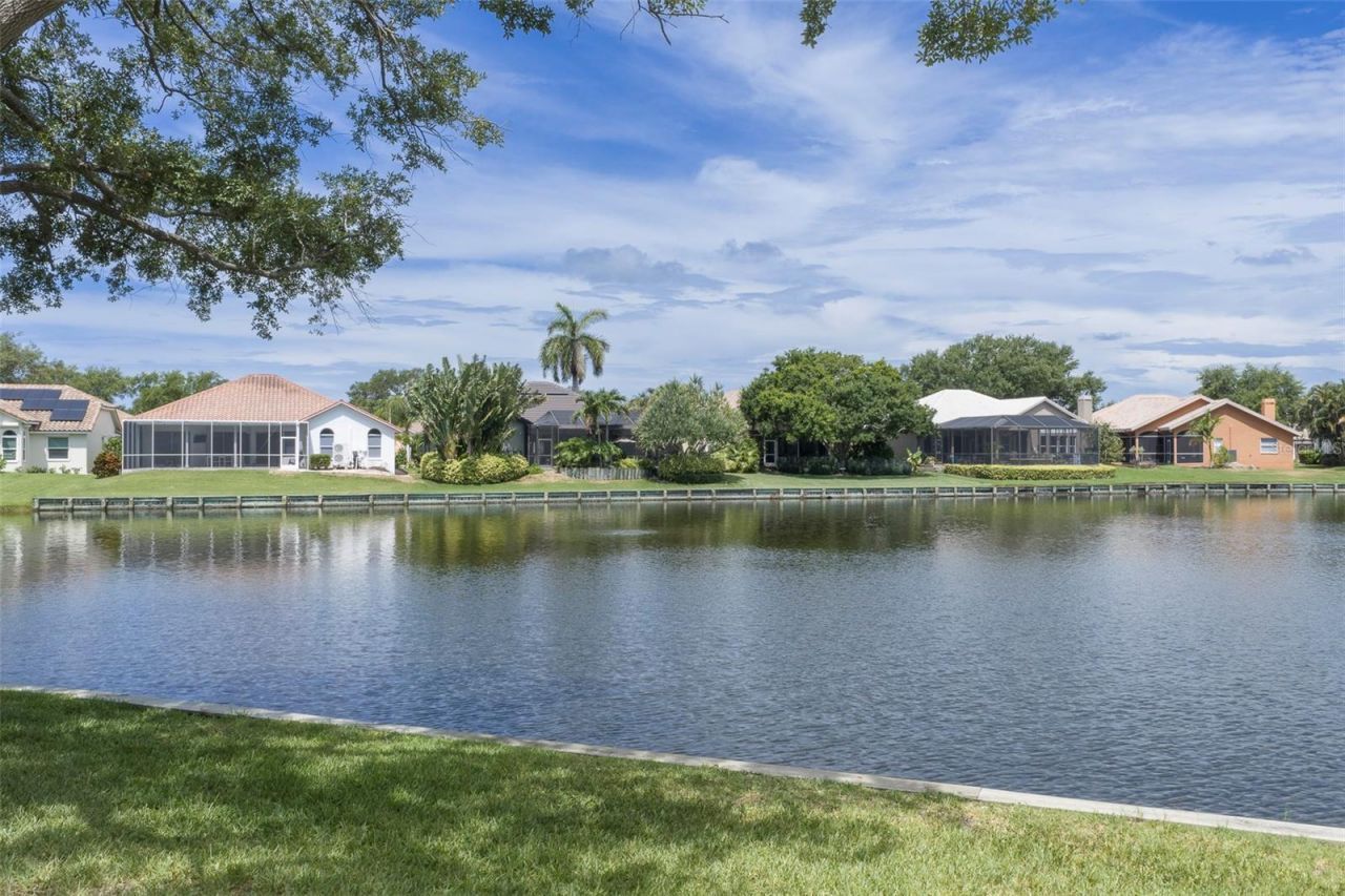 4834 Windmill Palm Terrace Ne, Saint Petersburg, FL 33703 Photo