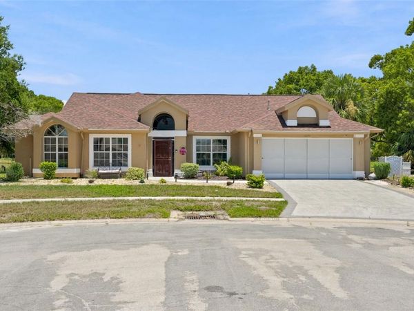 10296 WINDSOR COURT , SPRING HILL, FL 34608