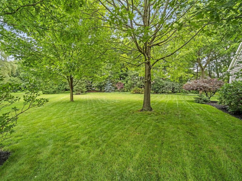 6865 Mcdevitt Court, Dublin, OH 43017 Photo 13