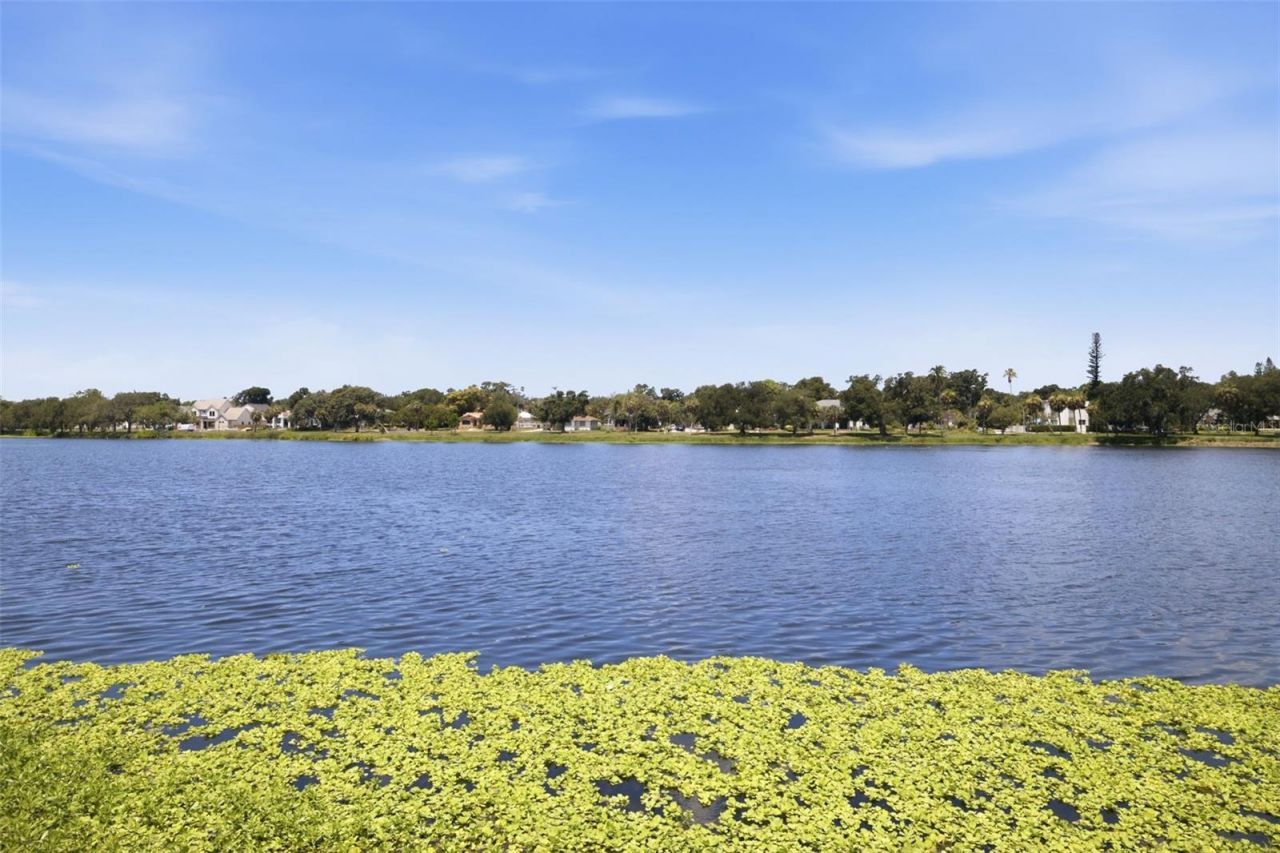 1815 5th Street N, Saint Petersburg, FL 33704 Photo