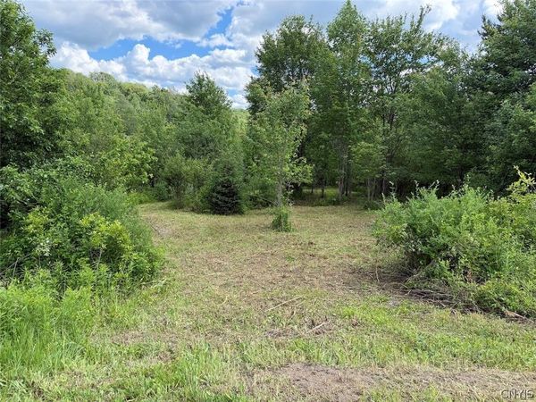 Reynolds Road , Franklinville, NY 14737