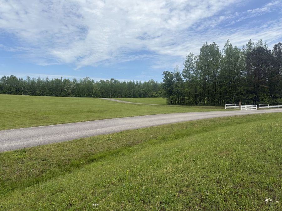Property Image 38