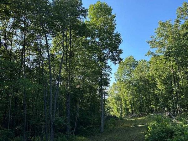 911 Parkstown Road, Wilder, TN 38589