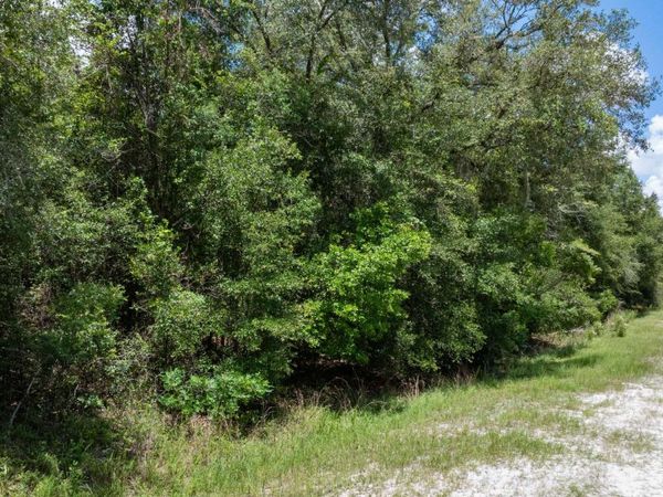 LOT53 SW ROANOKE TERRACE, Fort White, FL 32038
