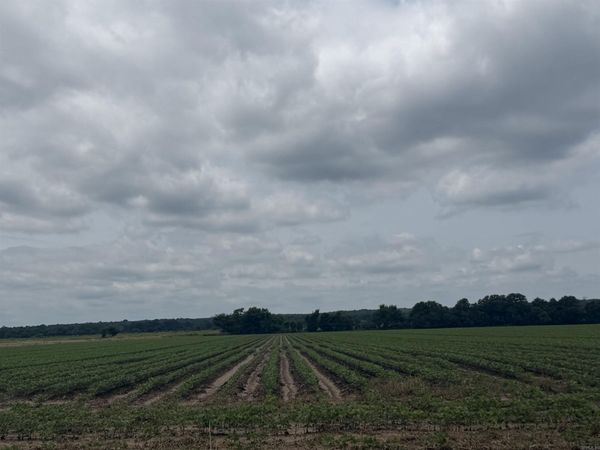77.7 Acres Pineview Rd/Benson Ln , Trumann, AR 72472