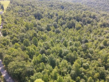 1407 Denton Phelps Road, Somerset, KY 42501
