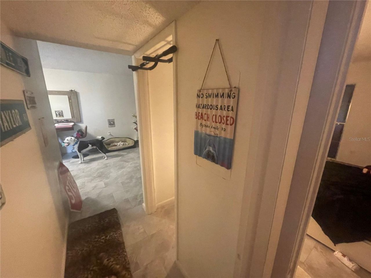 5245 Amulet Drive , Unit 208, New Port Richey, FL 34652 Photo