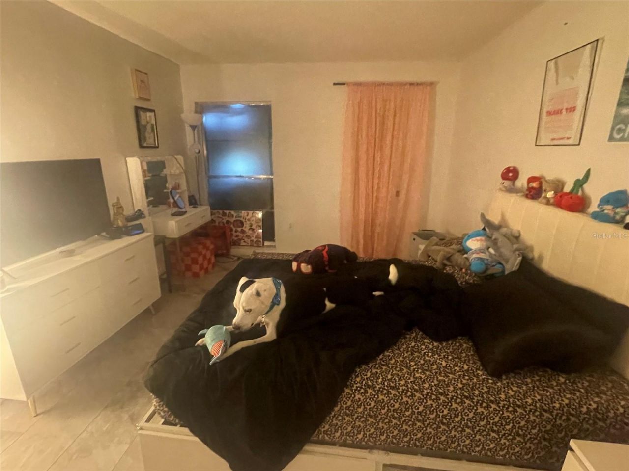 5245 Amulet Drive , Unit 208, New Port Richey, FL 34652 Photo