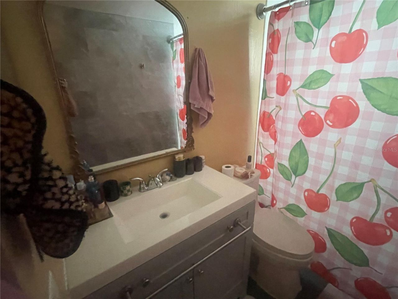5245 Amulet Drive , Unit 208, New Port Richey, FL 34652 Photo