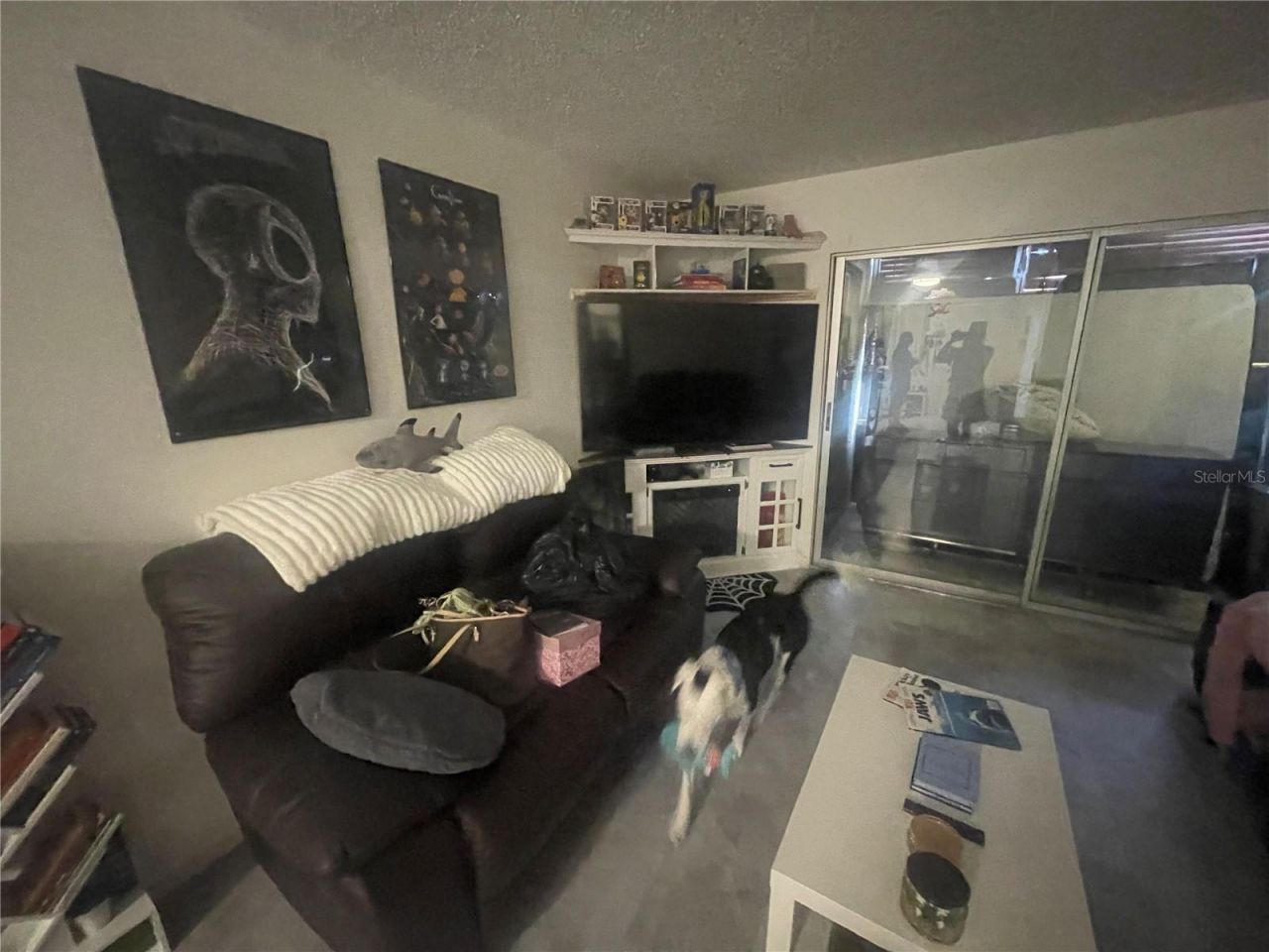 5245 Amulet Drive , Unit 208, New Port Richey, FL 34652 Photo