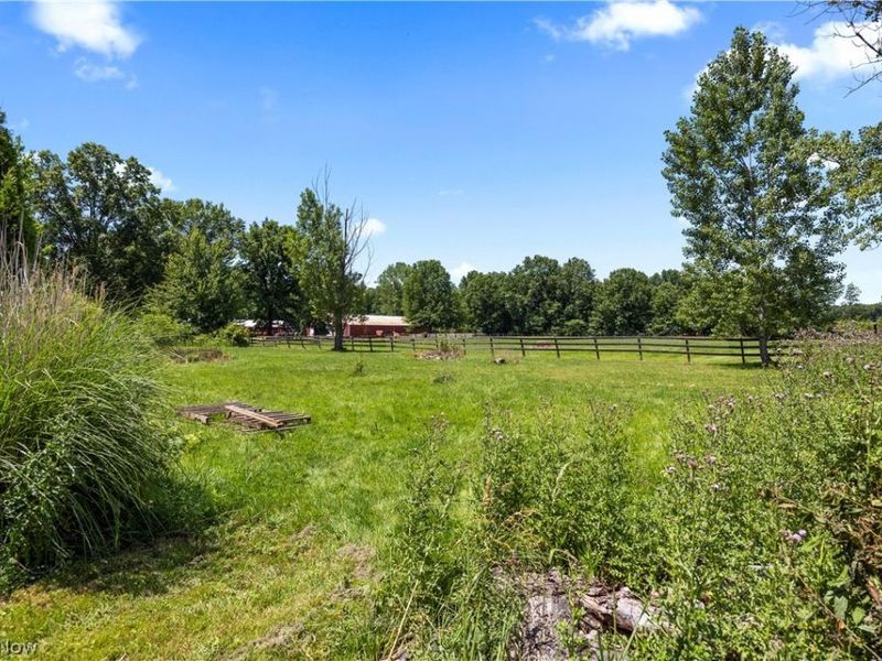 8134 Oberlin Road, Elyria, OH 44035 Photo 5