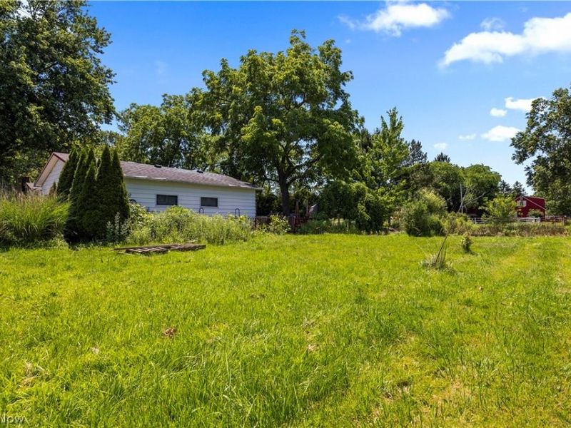 8134 Oberlin Road, Elyria, OH 44035 Photo 6