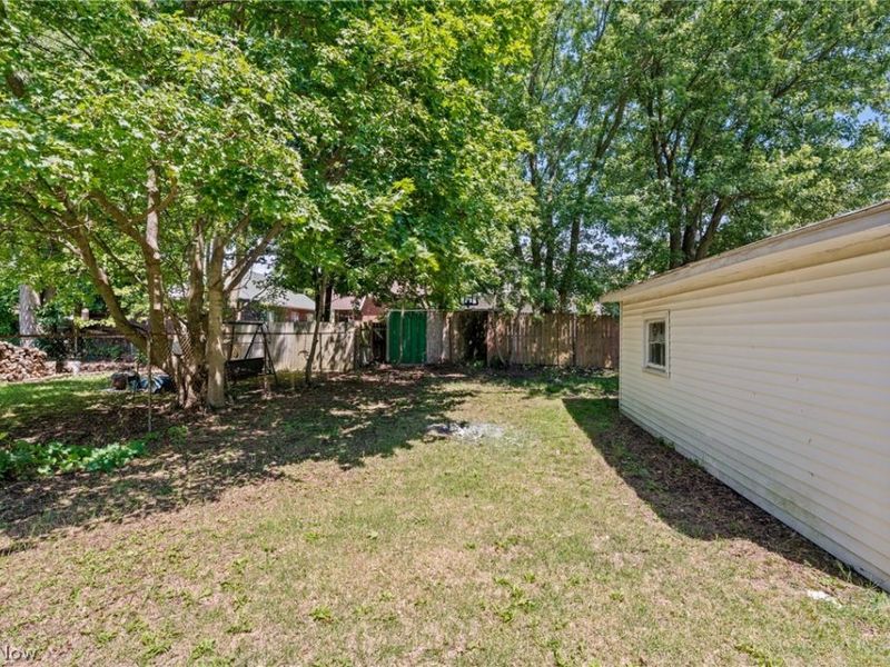1155 Tulip Street, Akron, OH 44301 Photo 44