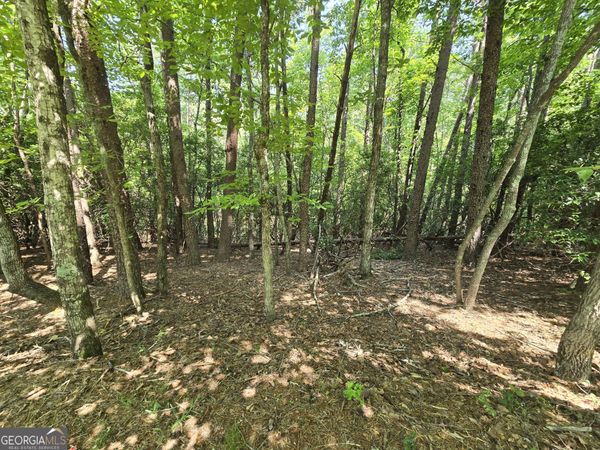 C2 Quail Run, Sautee Nacoochee, GA 30571