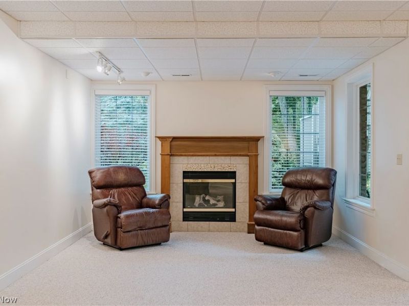 4013 Meadowvale Court, Akron, OH 44333 Photo 39