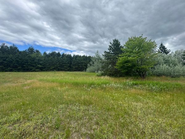 2177 Mississippi Shores Road , Fort Ripley, MN 56449