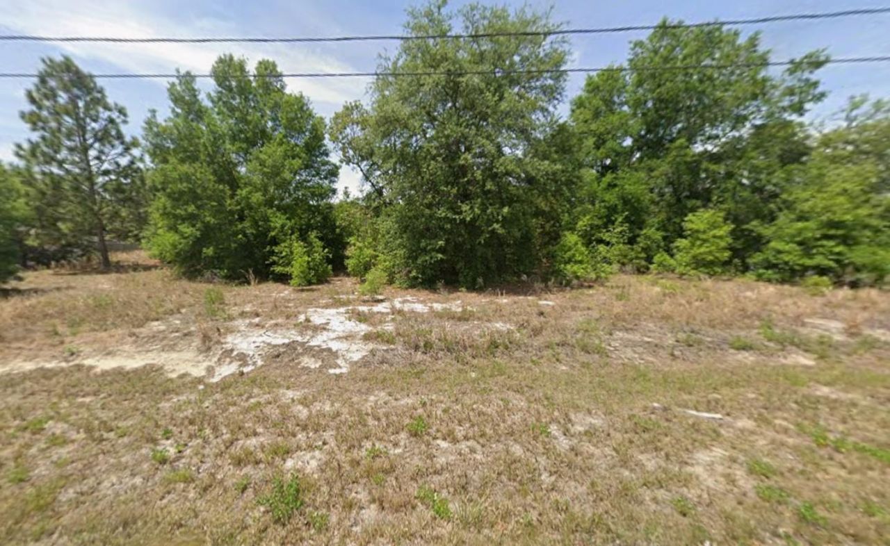 Tbd Dogwood Drive Lane, Ocala, FL 34472 Main Photo