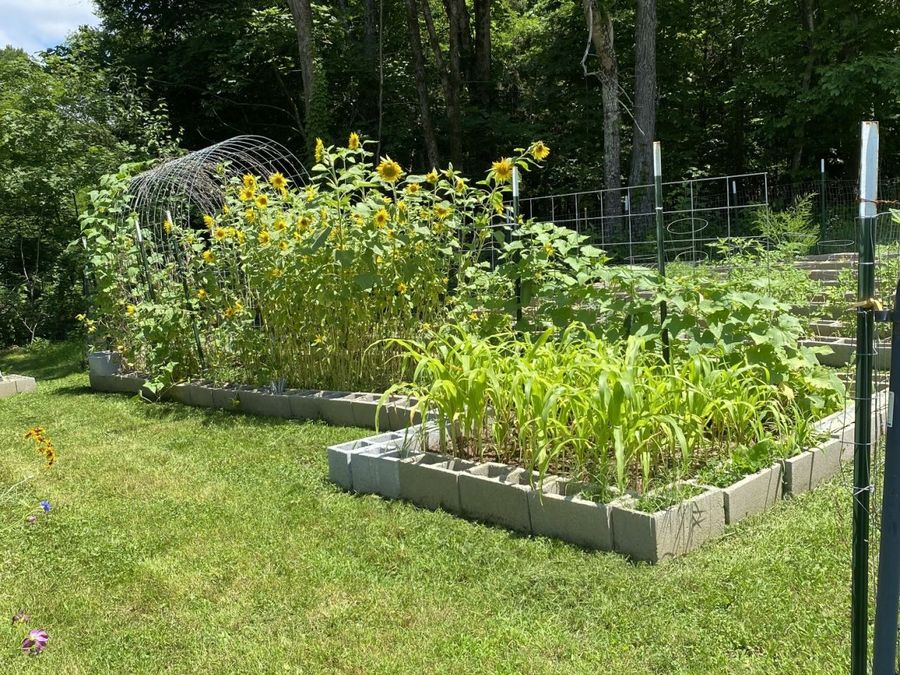 Property Image 65