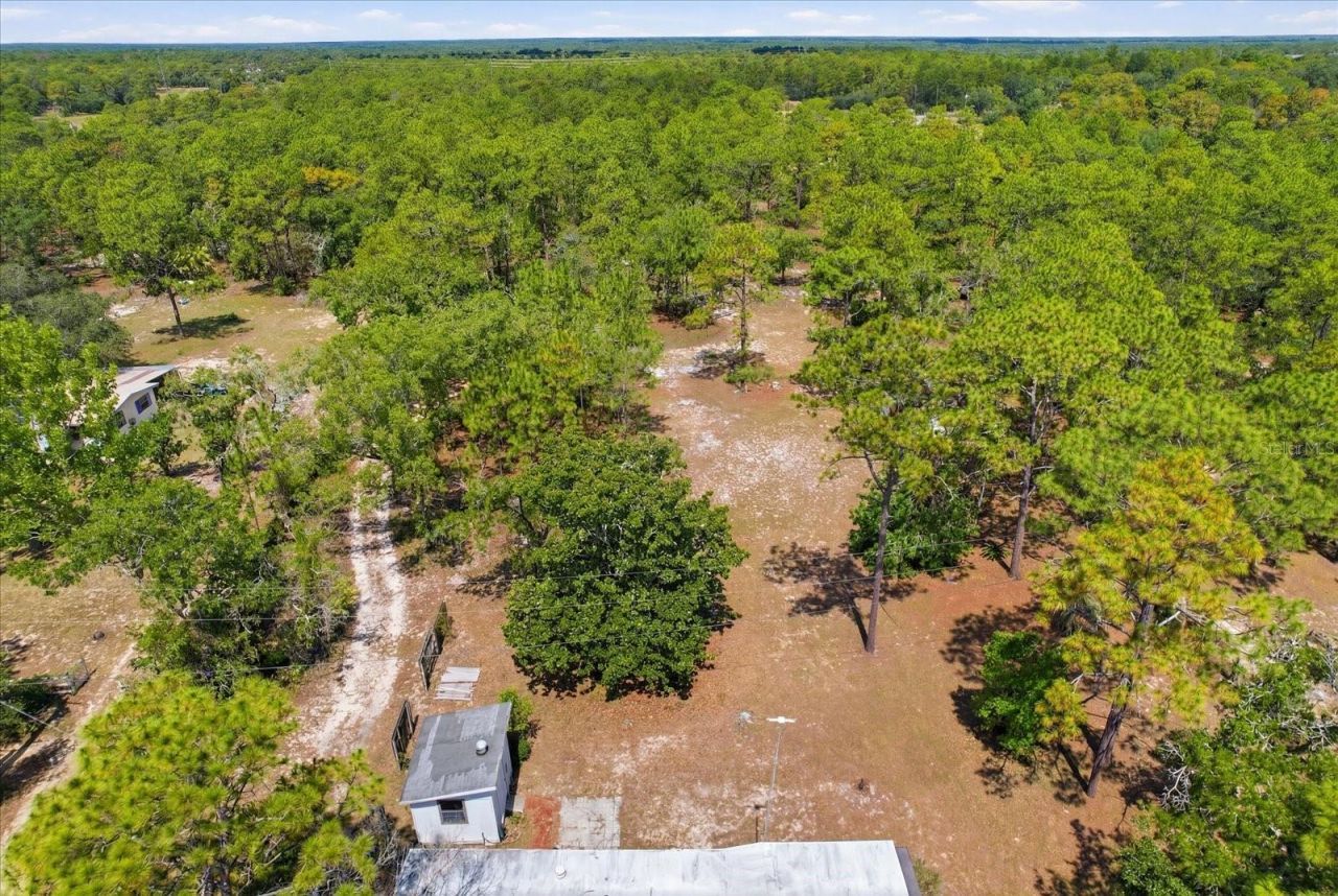 4675 W Roses Court, Homosassa, FL 34446 Photo
