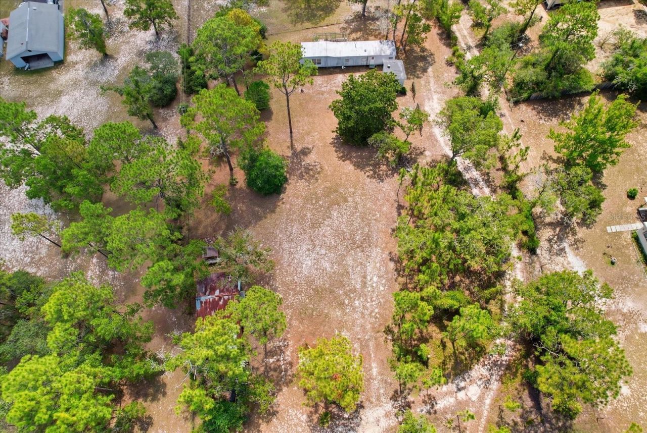 4675 W Roses Court, Homosassa, FL 34446 Photo