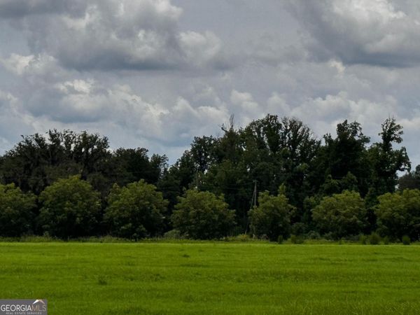 000 Old Reidsville Collins Road, Collins, GA 30421