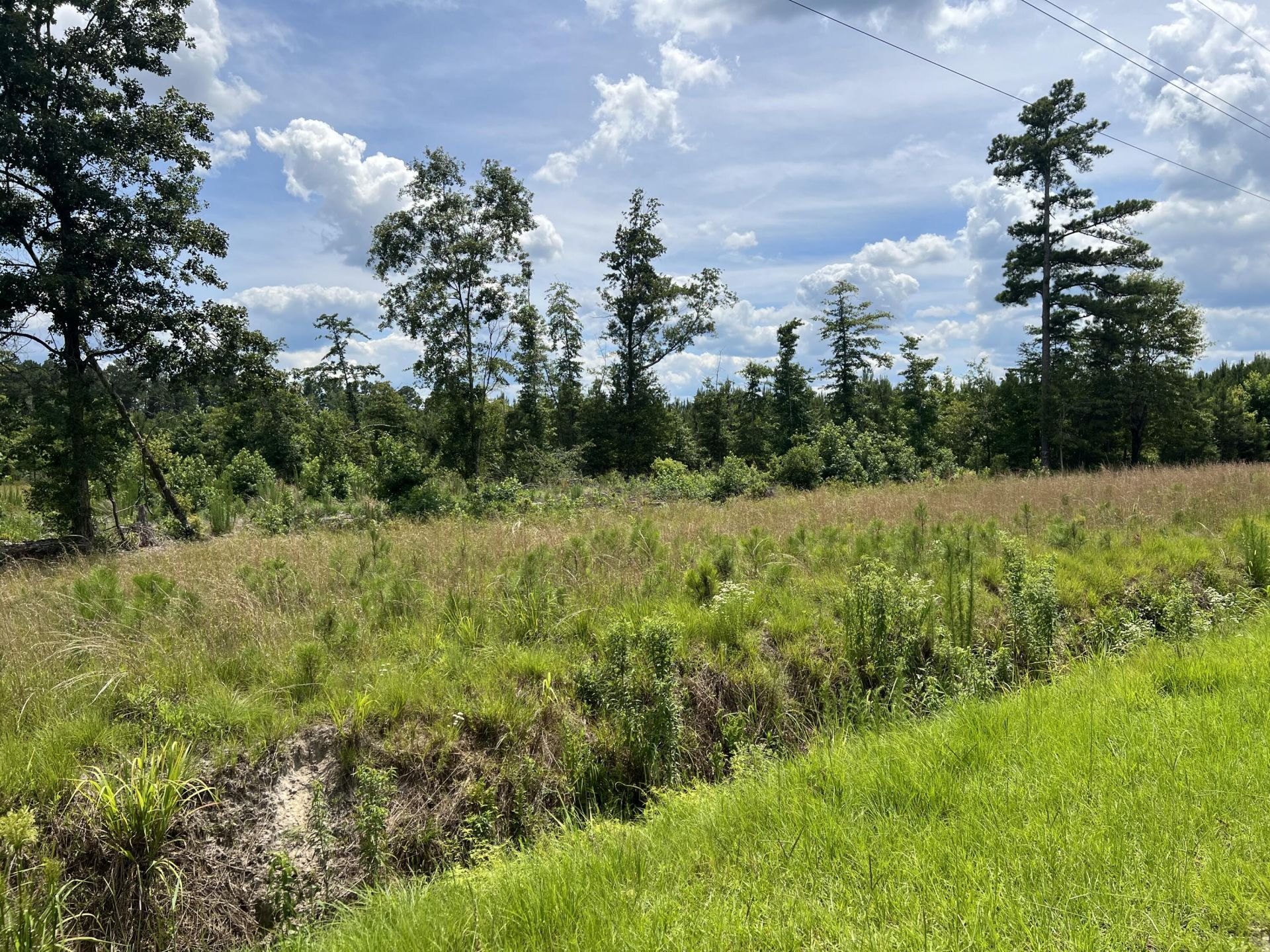 245 Wild Turkey State Rd S-38-465 Photo 10