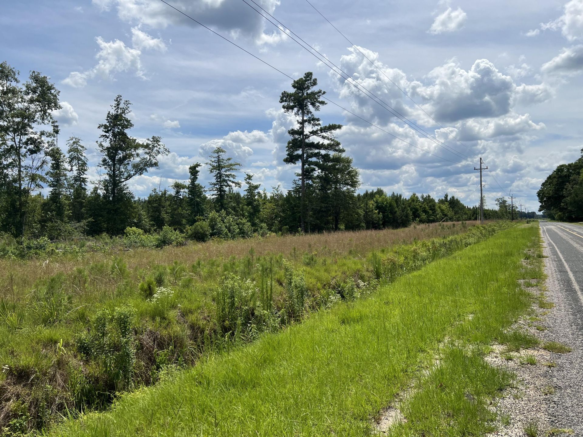 245 Wild Turkey State Rd S-38-465 Photo 11