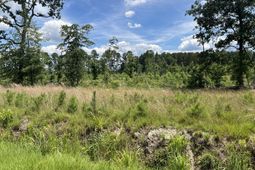245 Wild Turkey State Rd S-38-465 photo 4