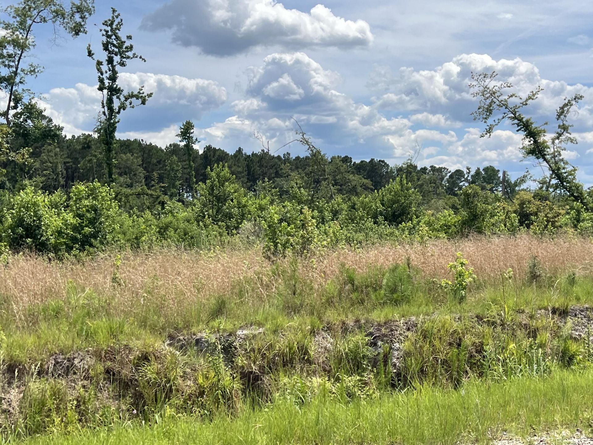 245 Wild Turkey State Rd S-38-465 Photo 8