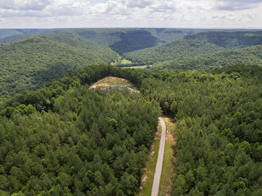 Property Image 3