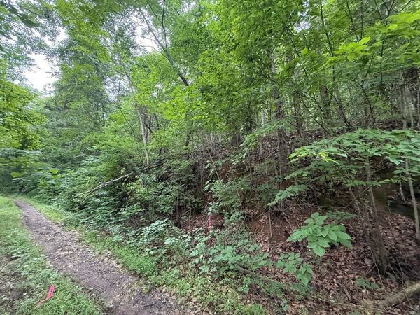 0 Fortunato Drive , Baneberry, TN 37890