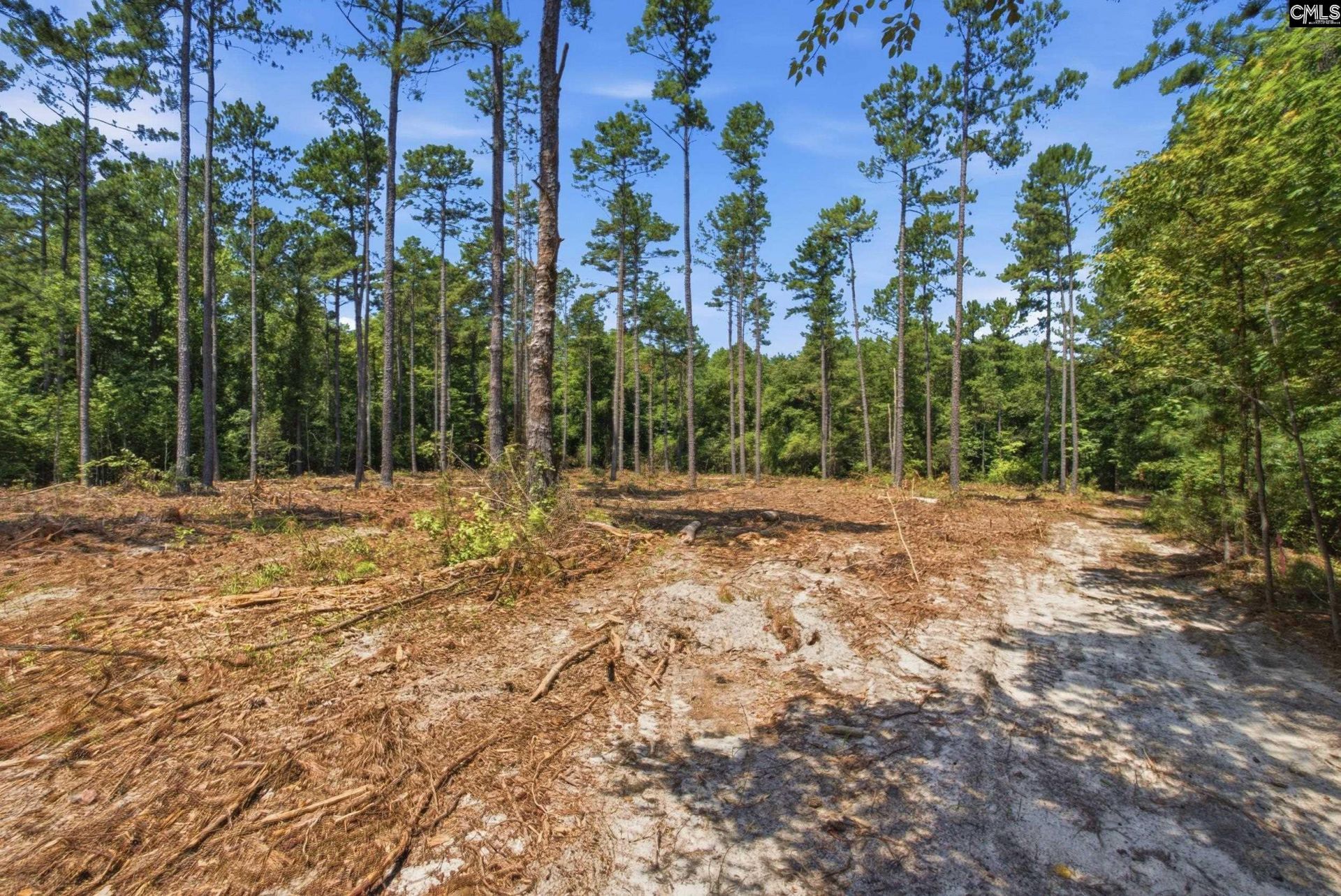 3390 Hunter Road Photo 10
