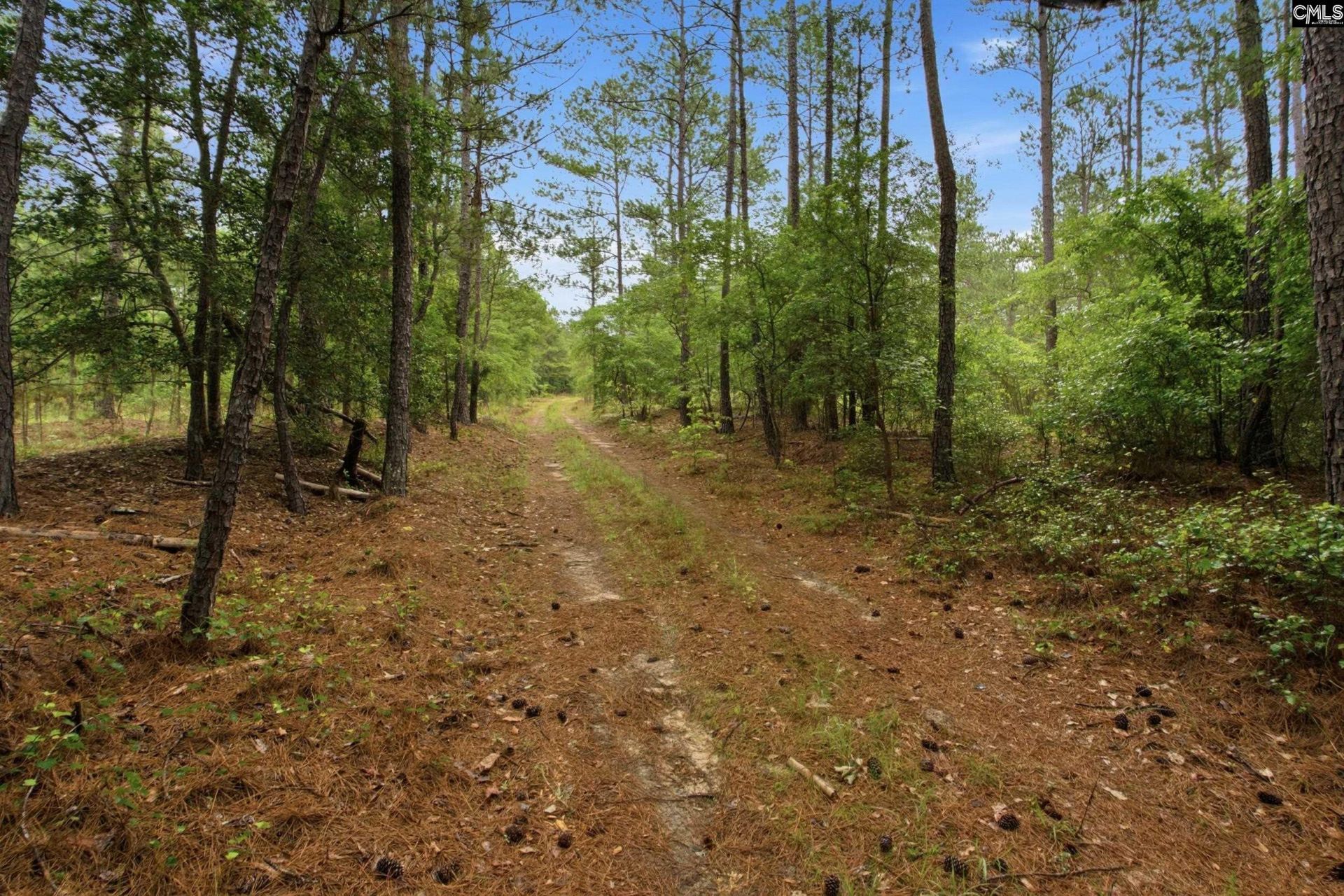 3390 Hunter Road Photo 11